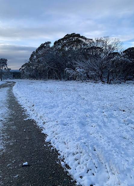Dinner Plain Accommodation 1