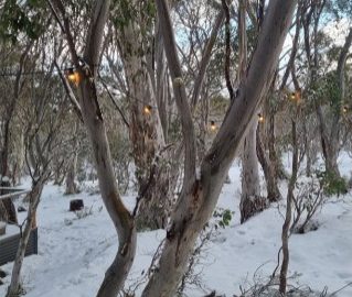 ID66f09801 0000 0500 0000 0000155c1def