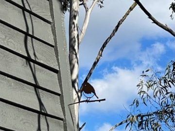 ID71515501 0000 0500 0000 00000f8f837b