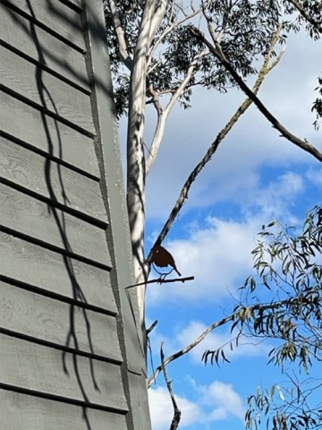 ID71515501 0000 0500 0000 00000f8f837b