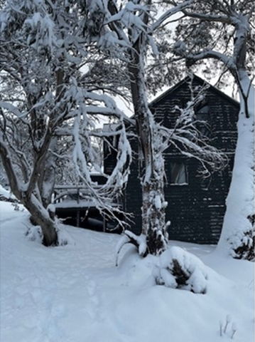 ID71515501 0000 0500 0000 000015caa0ae