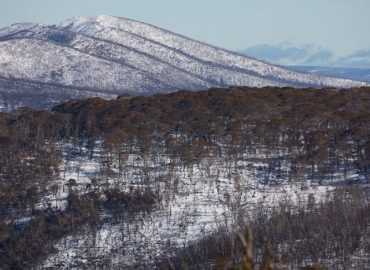 ID74764f00 0000 0500 0000 00000d481079