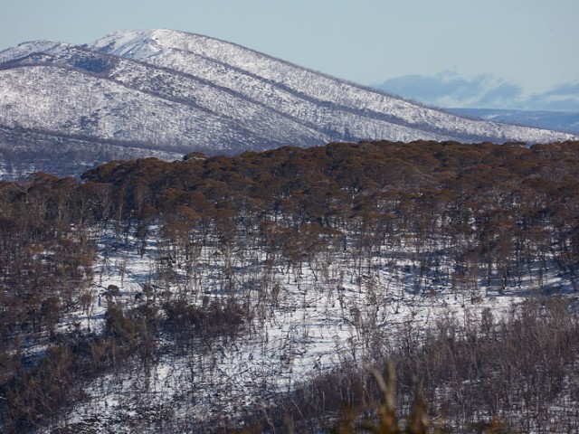 ID74764f00 0000 0500 0000 00000d481079