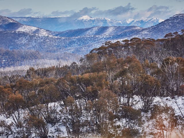 ID74764f00 0000 0500 0000 00000d48107c