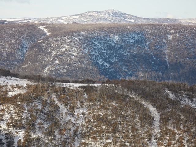 ID74764f00 0000 0500 0000 00000d48107d