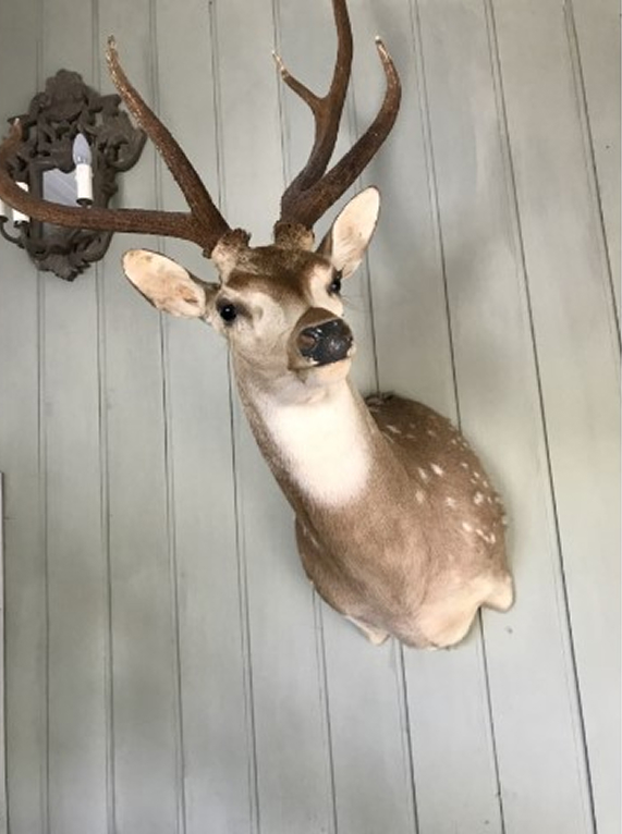 ID272c8d00 0000 0500 0000 000004bfffd2