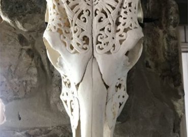 ID272c8d00 0000 0500 0000 000004bfffd9