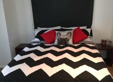 ID5b956001 0000 0500 0000 0000105ef6d4