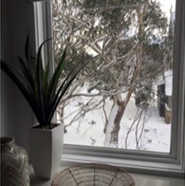 IDa5d84900 0000 0500 0000 00000e24957c