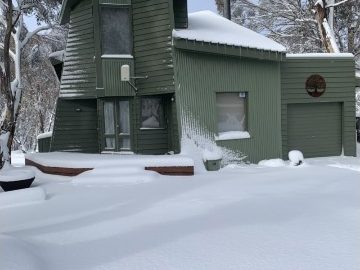 IDebbd7c01 0000 0500 0000 000015c716d1